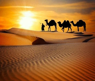 Sunrise camel trekking in Merzouga