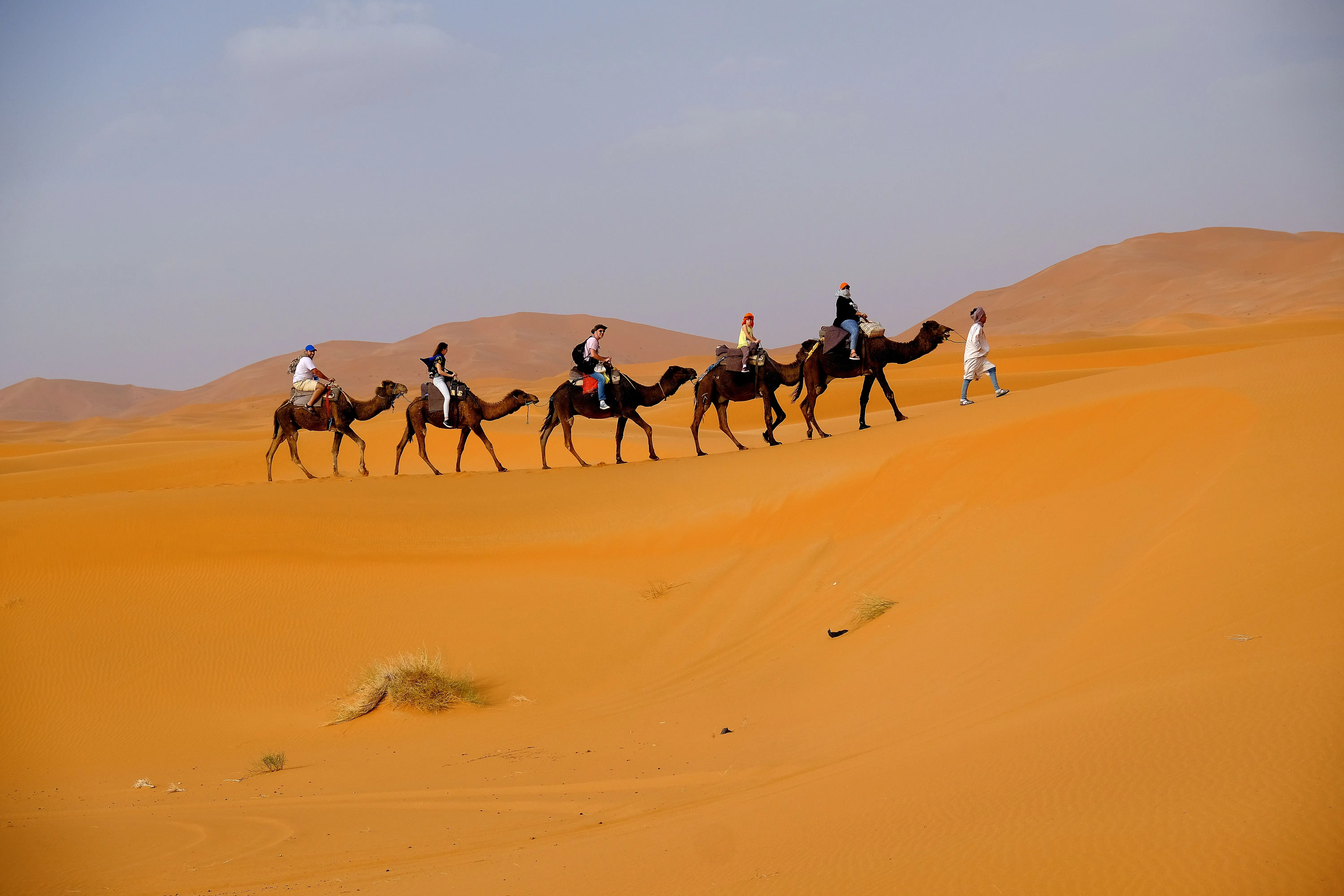 Overnight Camel Trip in Merzouga Sahara