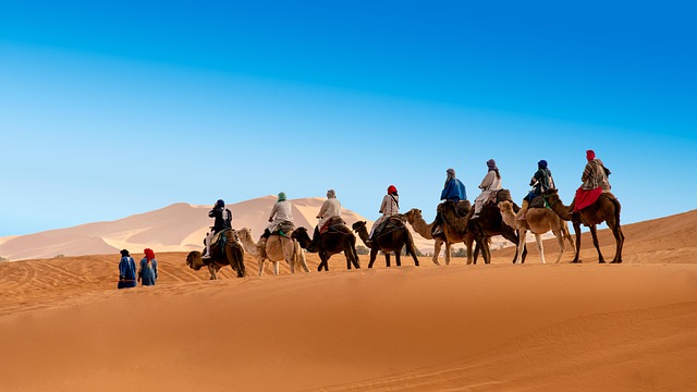 Erg Chebbi dunes • Camel trekking Merzouga
