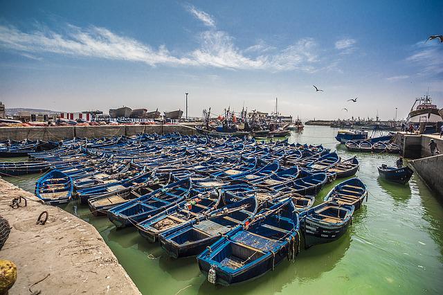 Essaouira • Blue baots