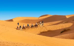 Desert Erg Chebbi - Camels inside the dunes - 3-Day Desert Tour Marrakech to Merzouga