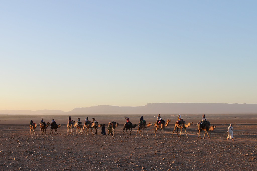 A modern camel train - tourists on their way to a desert camp, near Zagora, Morocco - 2 days from Marrakech to Zagora