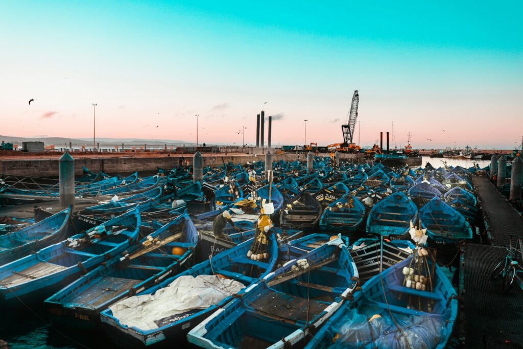 blue and white boats on dock during daytime - Day Trip from Marrakech to Essaouira